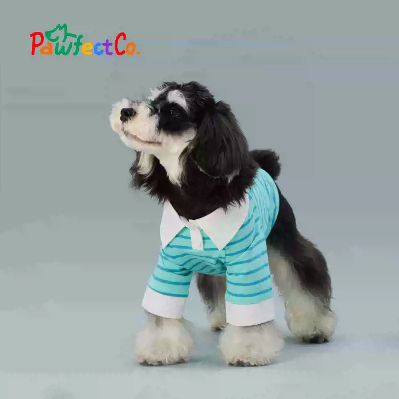 Dog Apparel