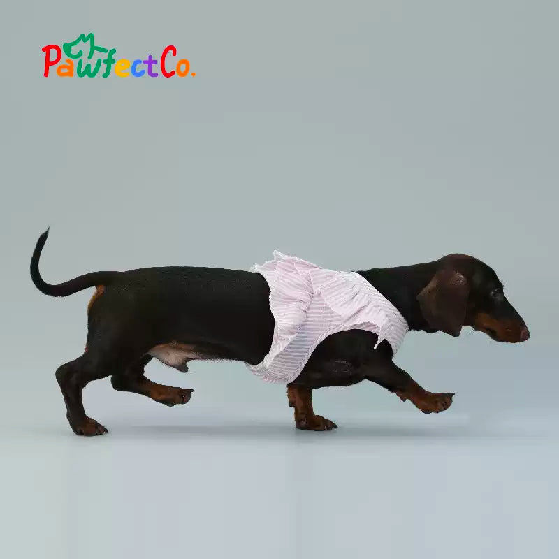 Breathable Dog Walk Harness