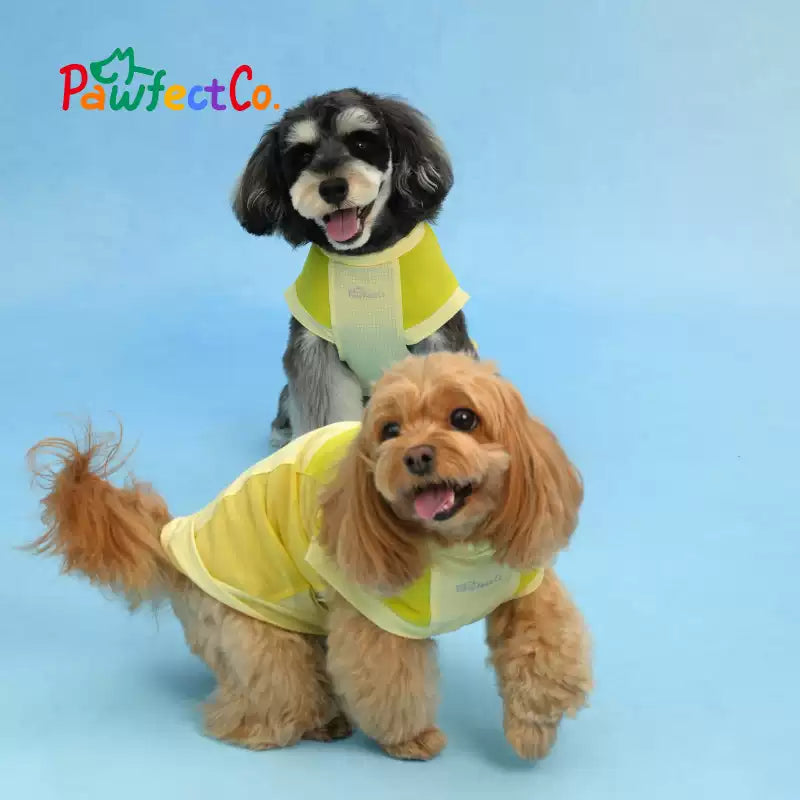Lightweight Cooling Dog Vest