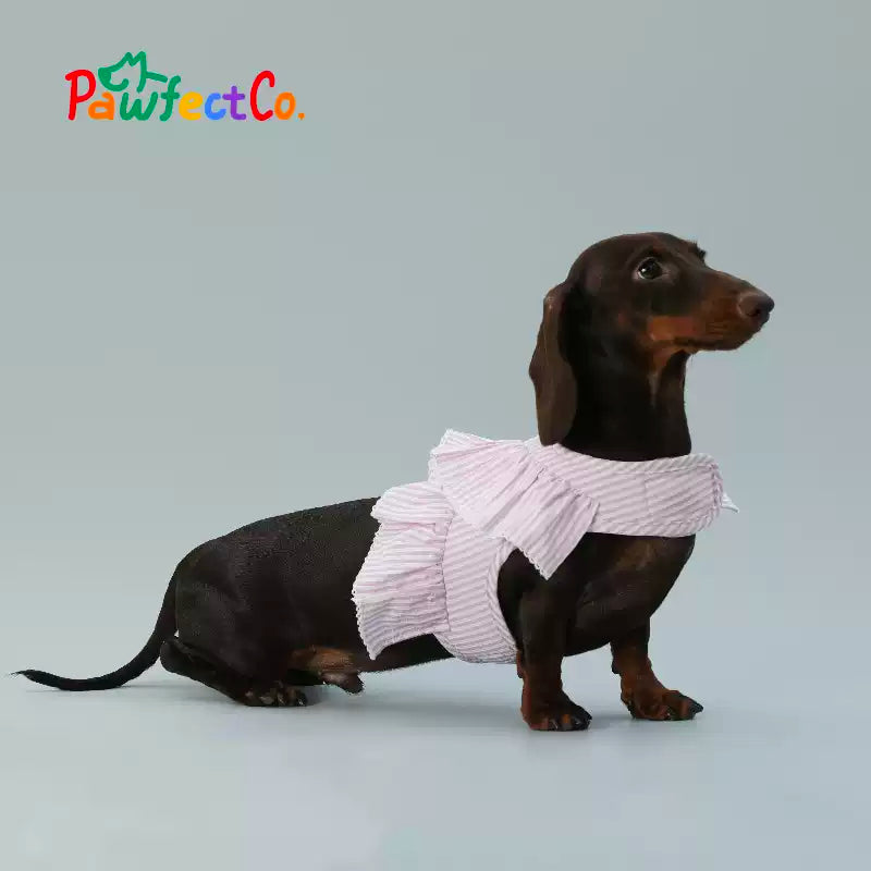 Breathable Dog Walk Harness
