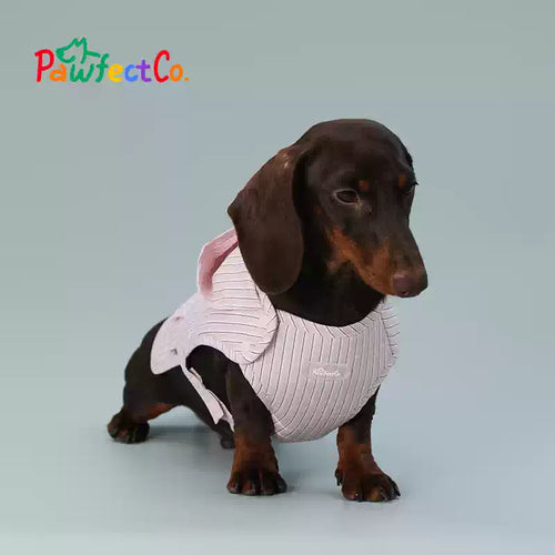 Breathable Hooded Dog Cape