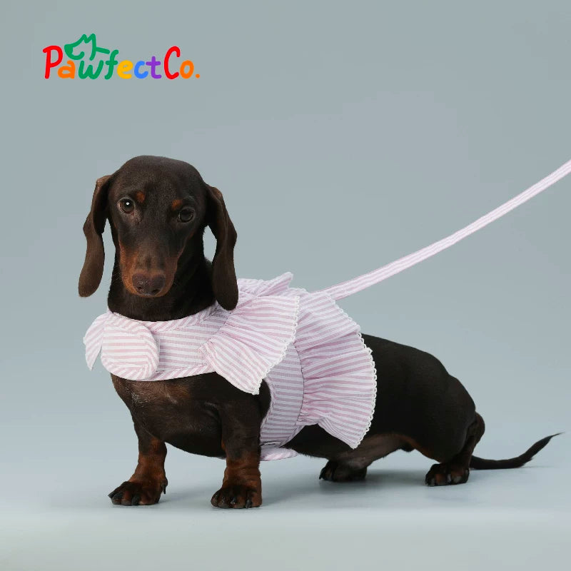 Breathable Dog Walk Harness