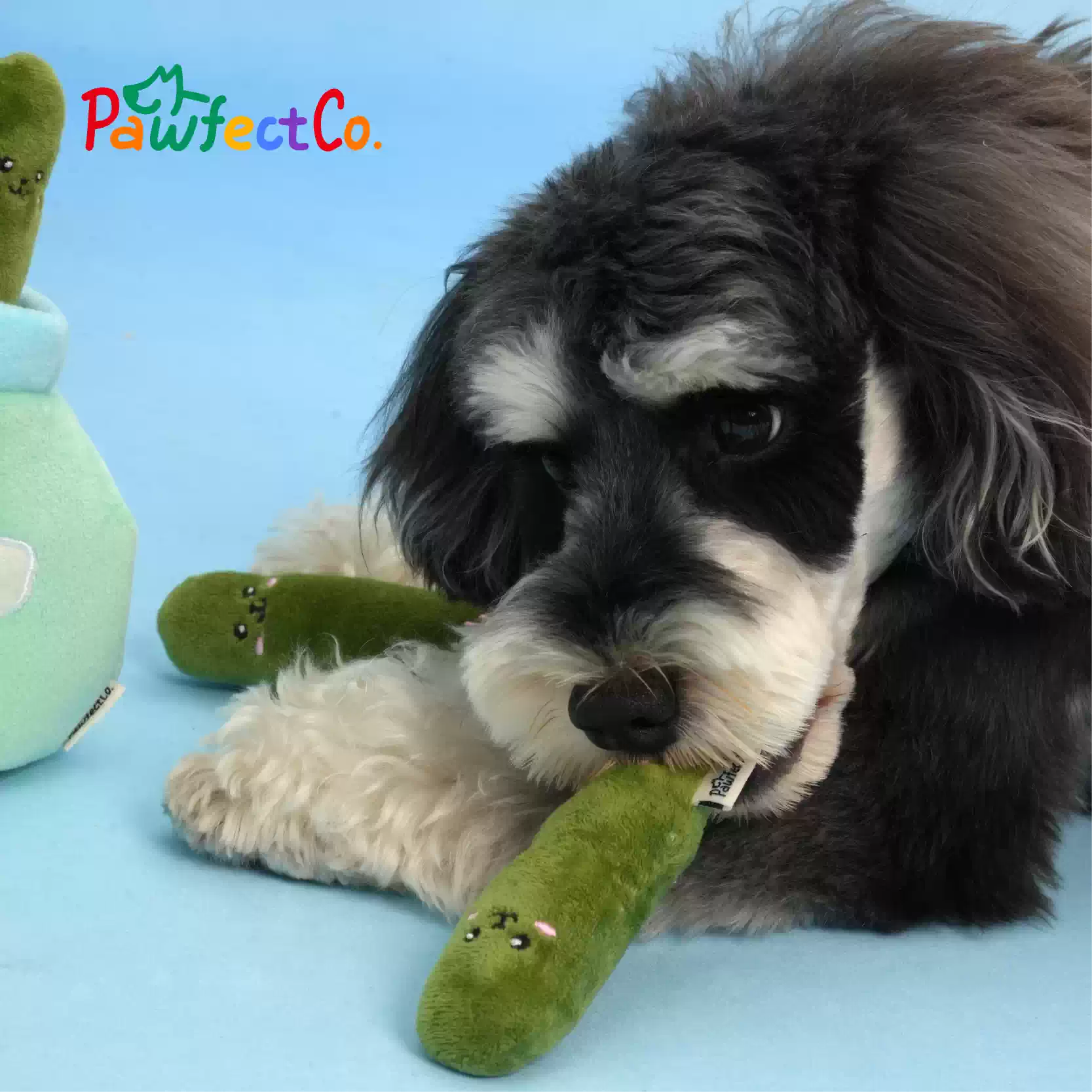 Plush Snuffle Interactive Squeaky Dog Toy