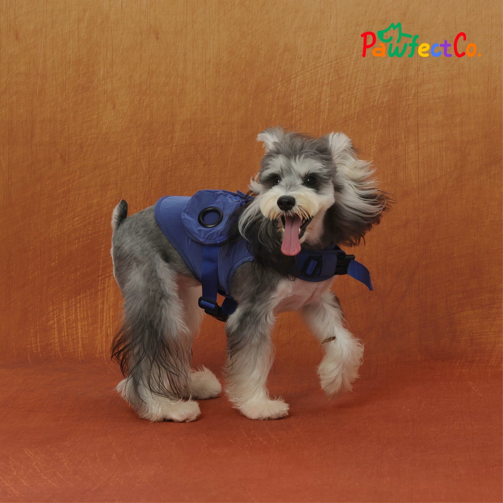 Metallic Reflective Dog Vest