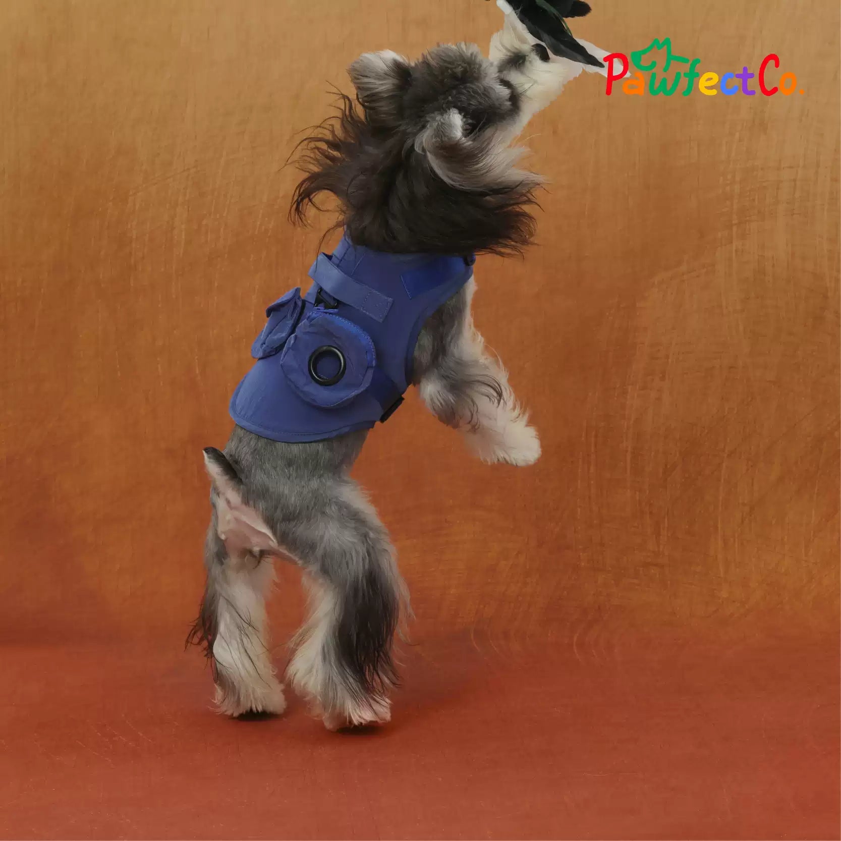 Metallic Reflective Dog Vest