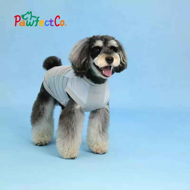Lightweight Cooling Dog Vest