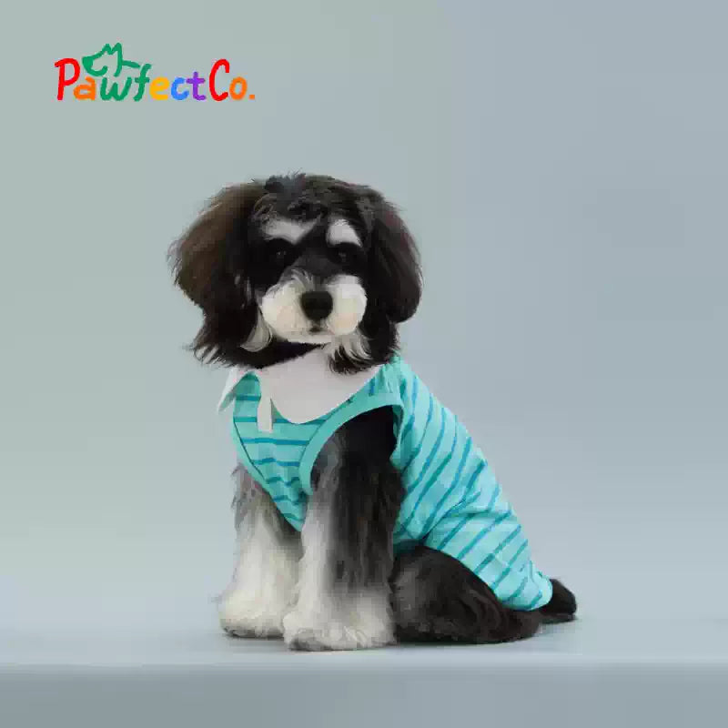 Summer Cooling Dog Sleeveless Vest