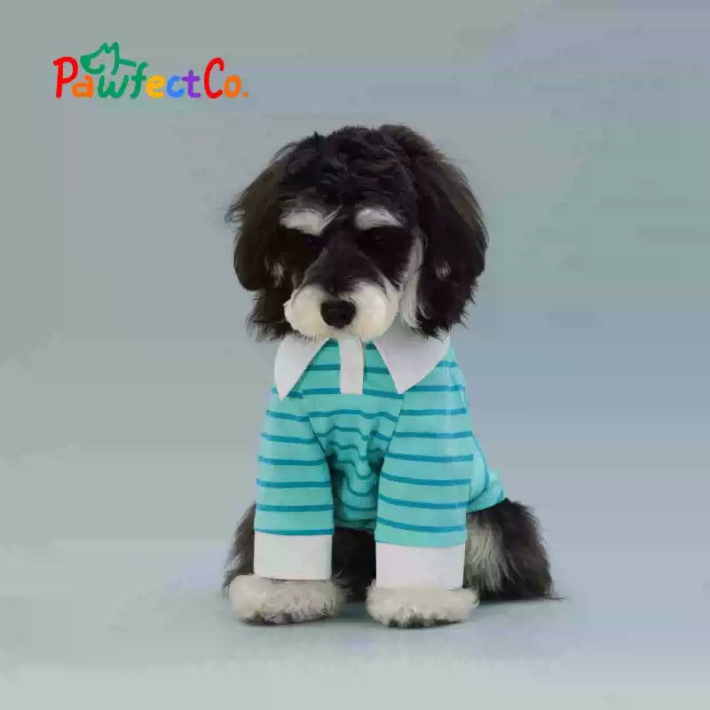 Peacock Blue Striped Summer Dog Sleeveless Vest