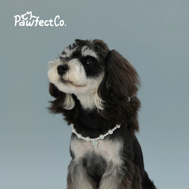 Dog Faux Pearl Necklace Pet Collar