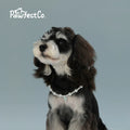 Dog Faux Pearl Necklace Pet Collar