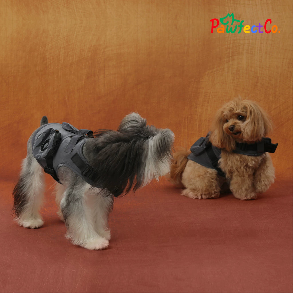 Metallic Reflective Dog Vest