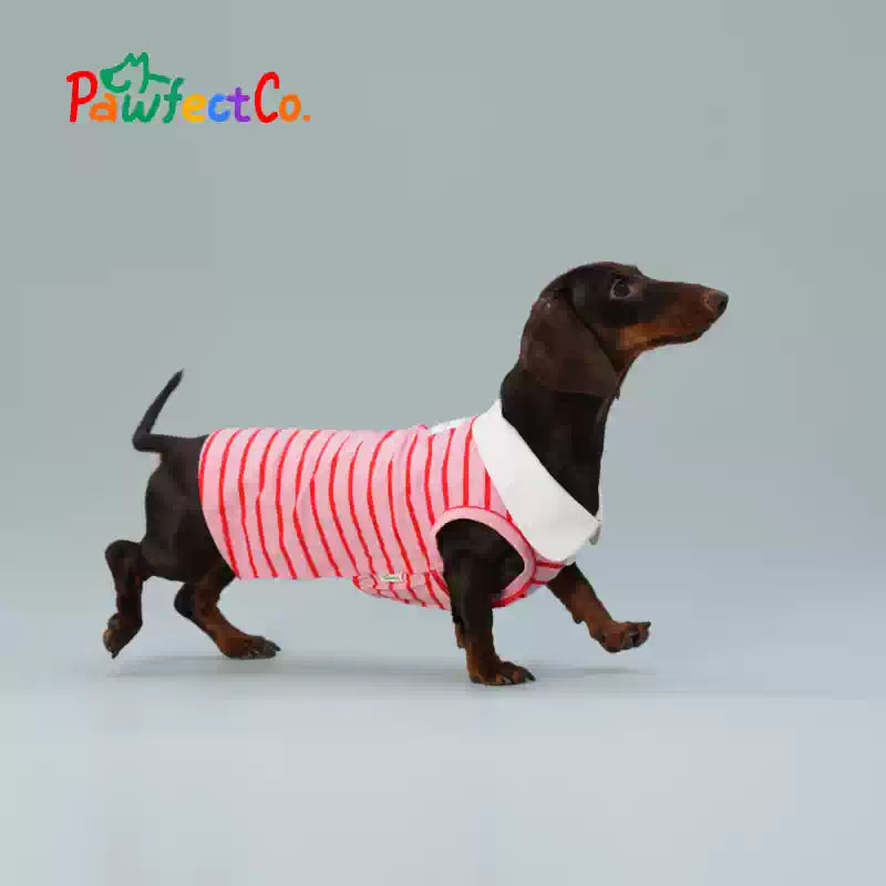Red Striped Sleeveless Summer Dog Vest