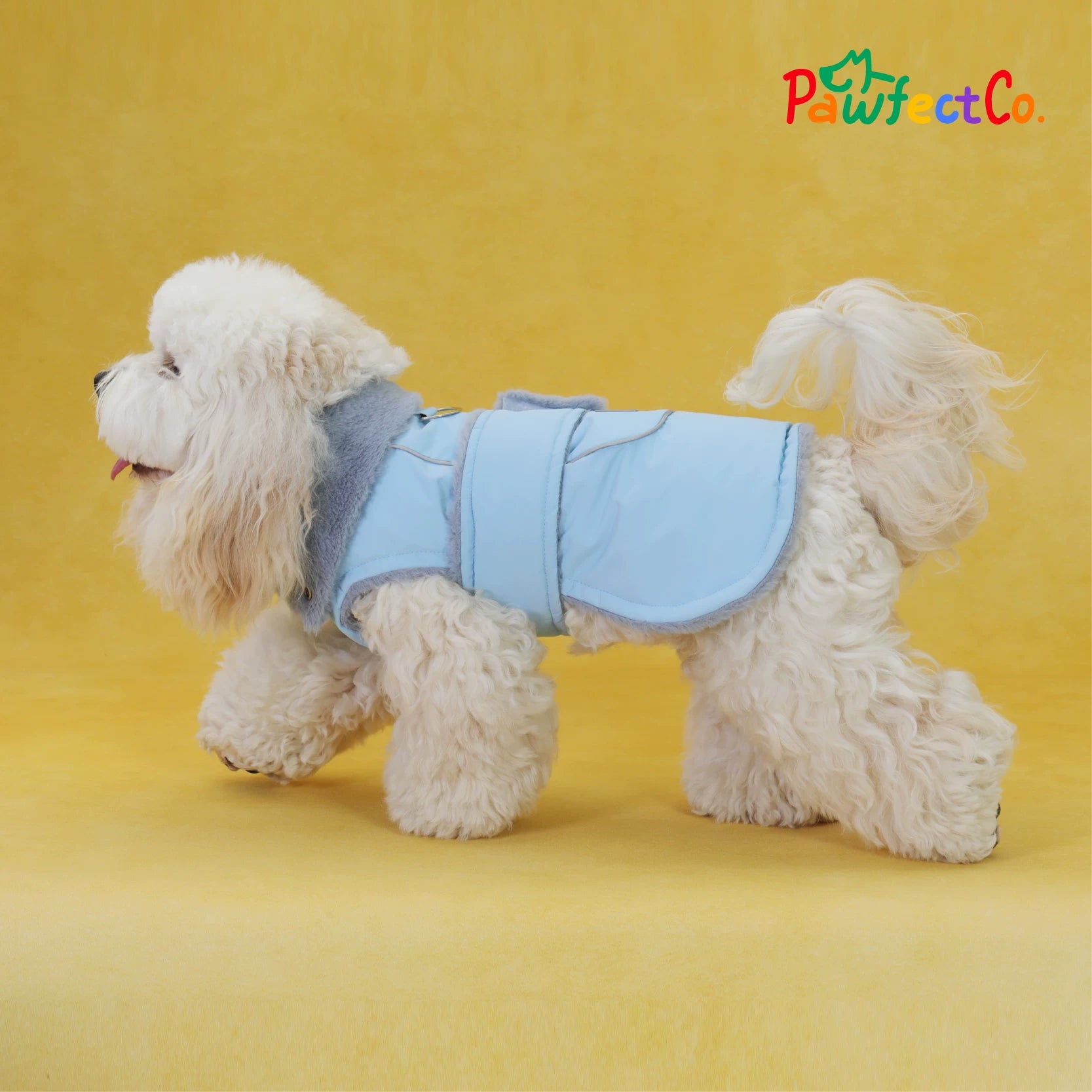 Winter Furry Collar Leather Dog Cape