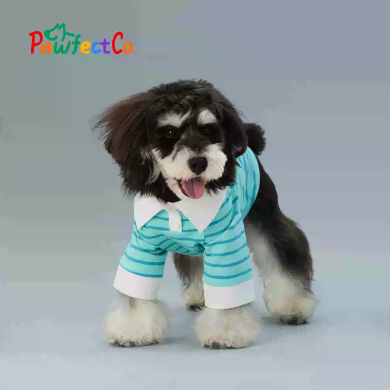 Peacock Blue Striped Summer Dog Sleeveless Vest