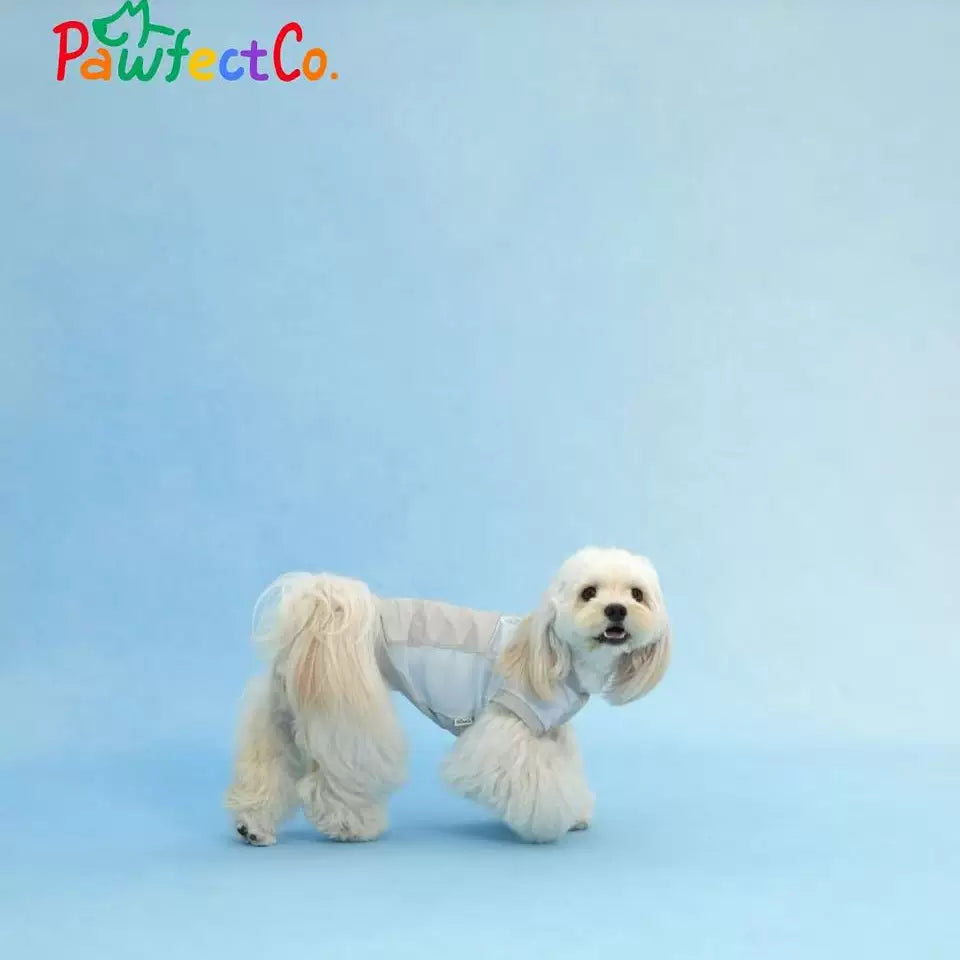 Lightweight Cooling Dog Vest