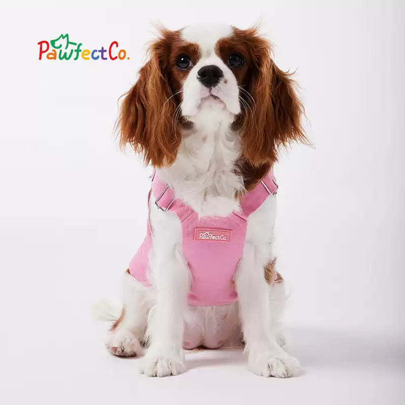 Denim Overalls Vest for Dogs
