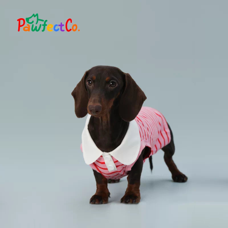 Red Striped Sleeveless Summer Dog Vest