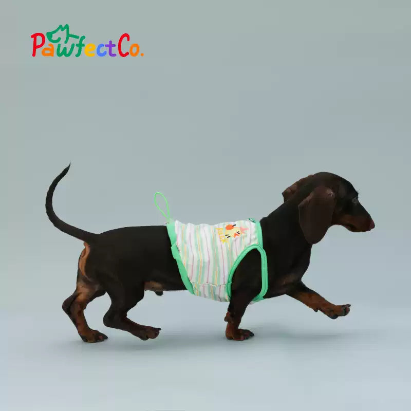 Pet Striped Embroidered Tank Top