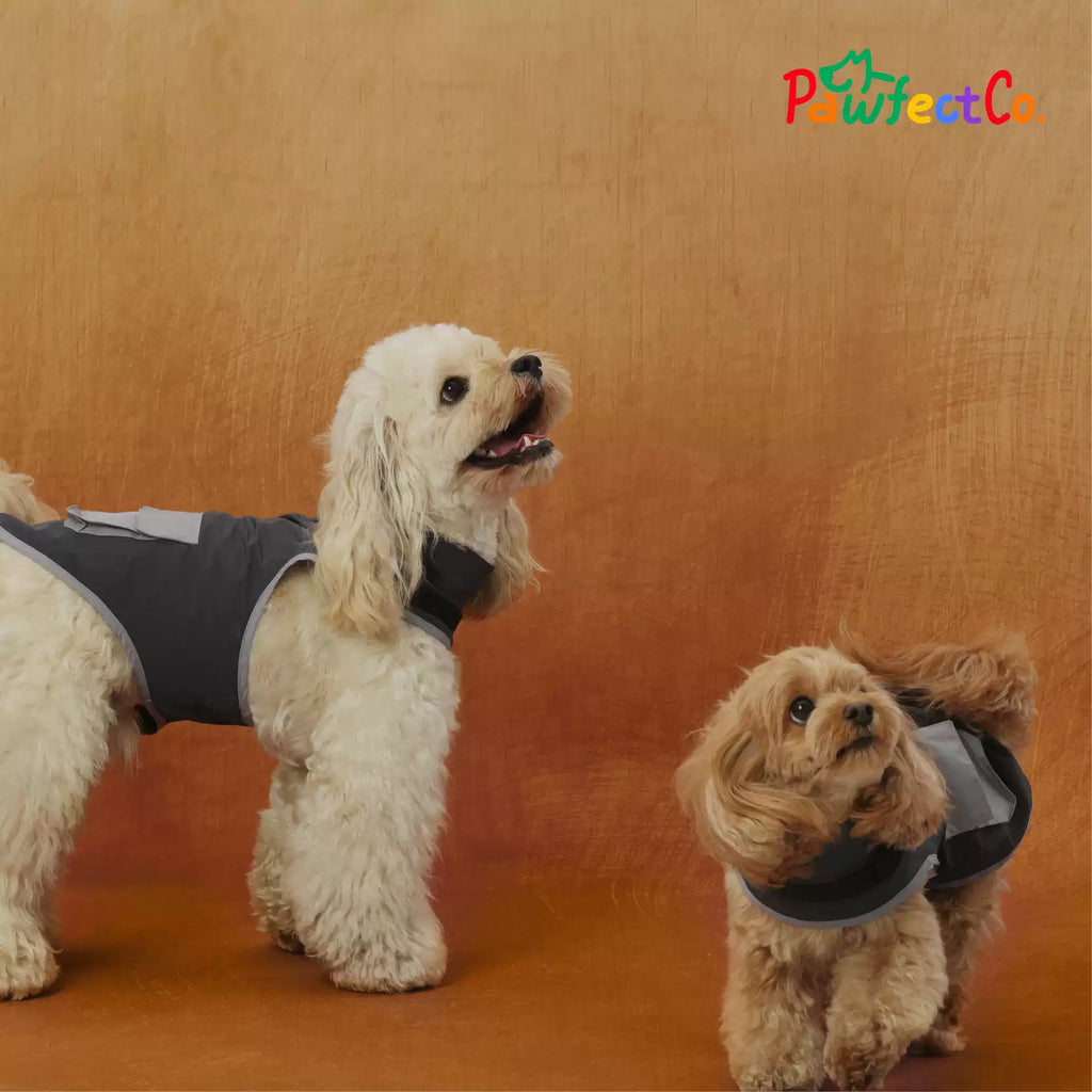 Hooded Workwear Cargo Dog Jacket Spring Autumn Outdoor Coat