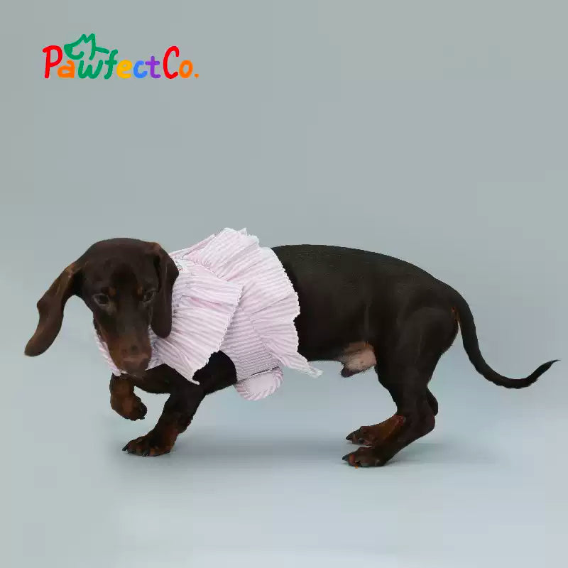 Breathable Dog Walk Harness