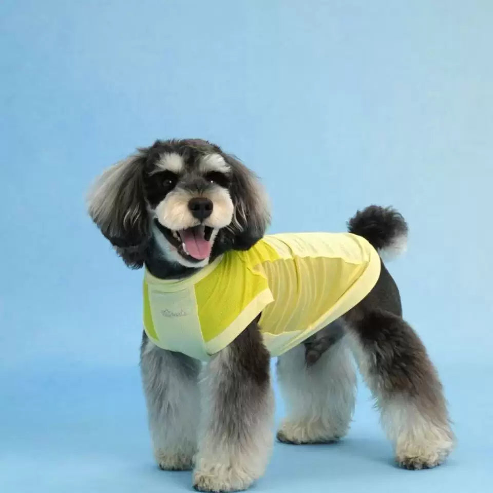 Lightweight Cooling Dog Vest