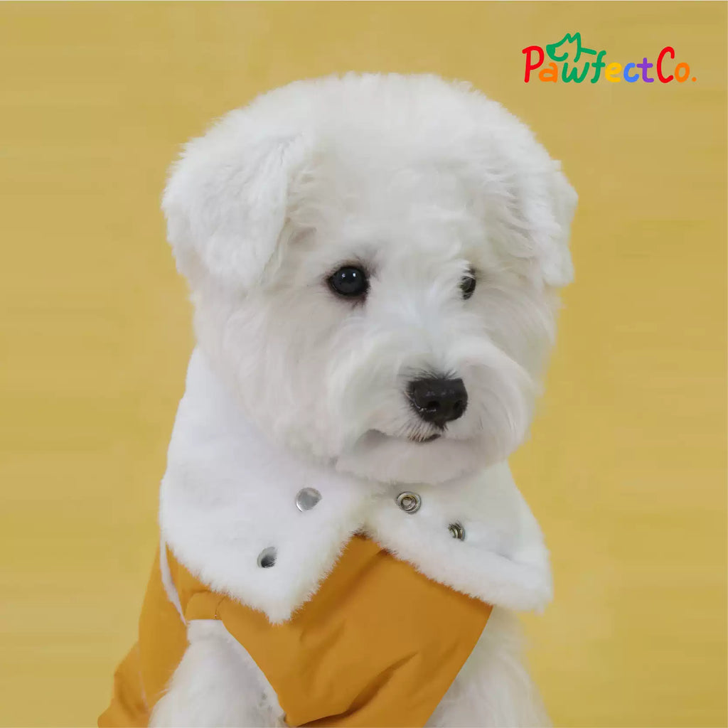 Winter Furry Collar Leather Dog Cape