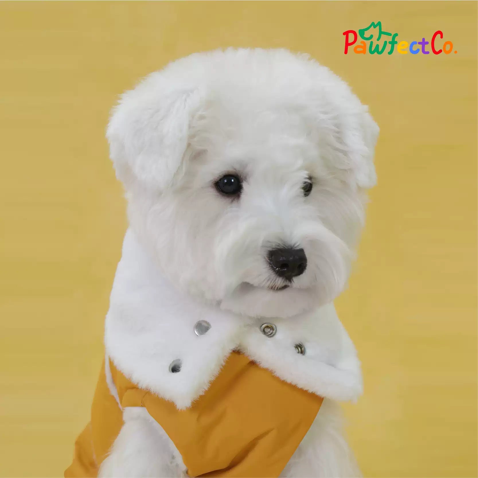 Winter Furry Collar Leather Dog Cape