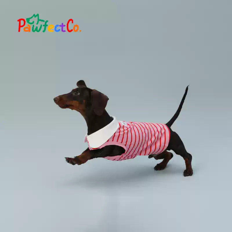 Red Striped Sleeveless Summer Dog Vest
