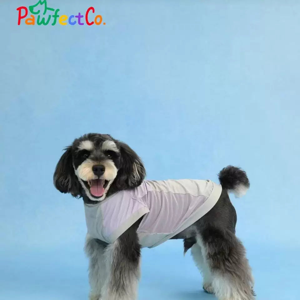Lightweight Cooling Dog Vest
