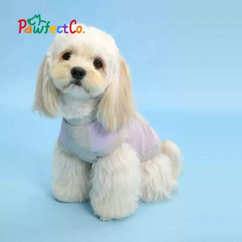 Lightweight Cooling Dog Vest
