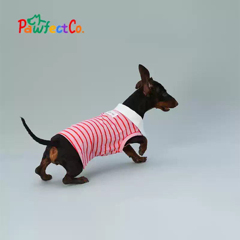 Red Striped Sleeveless Summer Dog Vest