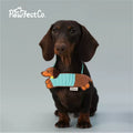 Dachshund Dog Triangle Bandana