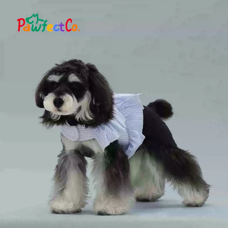 Small Dog Lace Trim Adjustable Velcro Harness Vest
