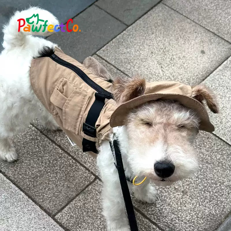 Outdoor Dog Utility Vest