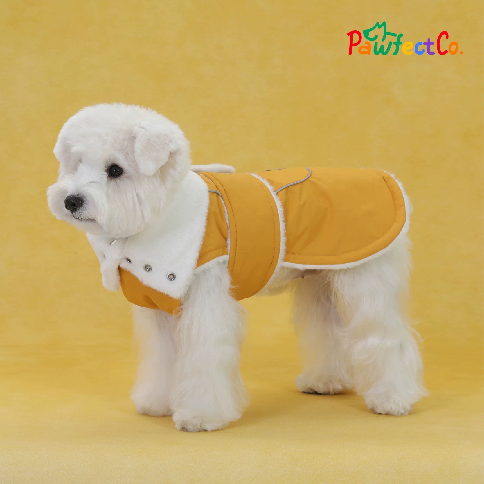 Winter Furry Collar Leather Dog Cape