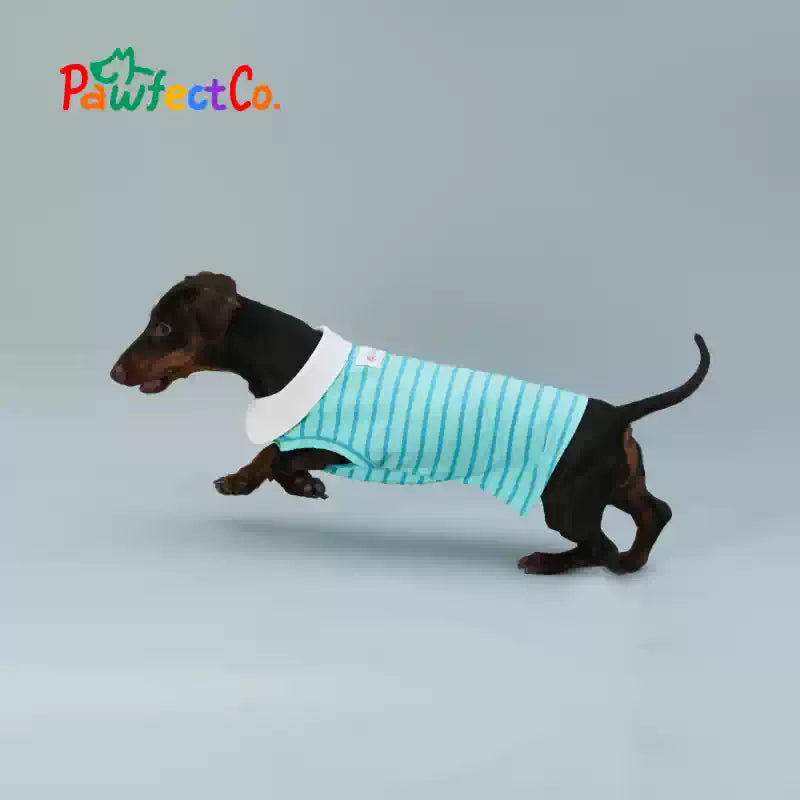 Summer Cooling Dog Sleeveless Vest