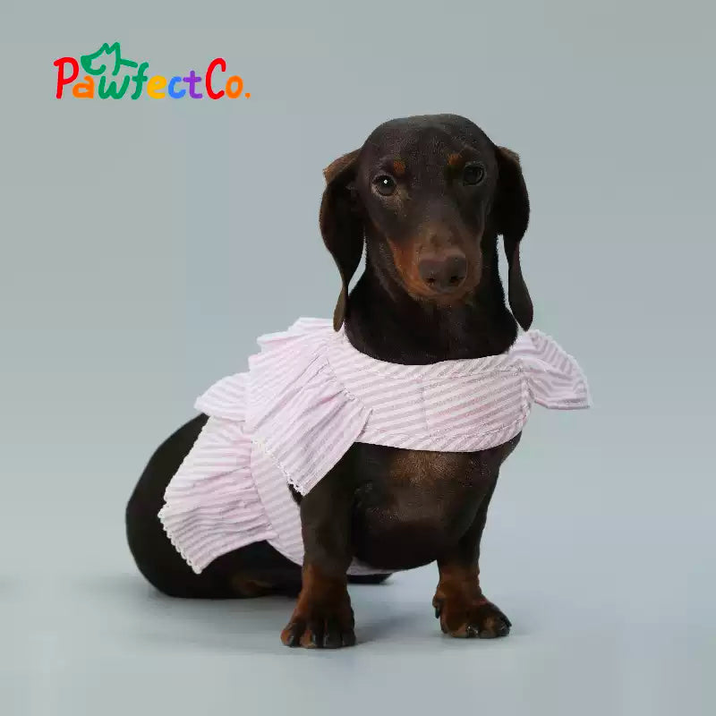 Breathable Dog Walk Harness