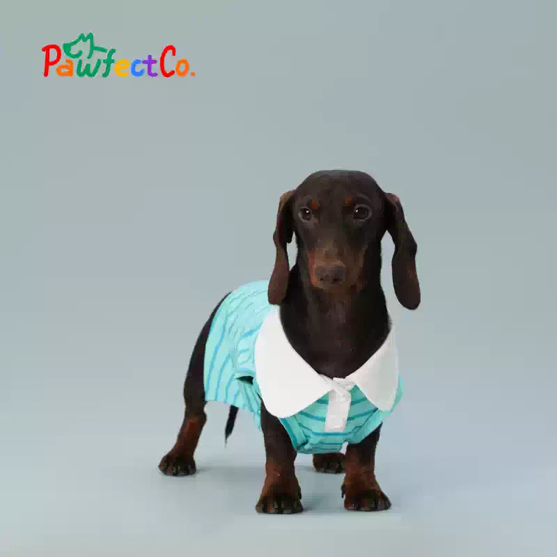 Summer Cooling Dog Sleeveless Vest