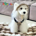 Outdoor Dog Utility Vest