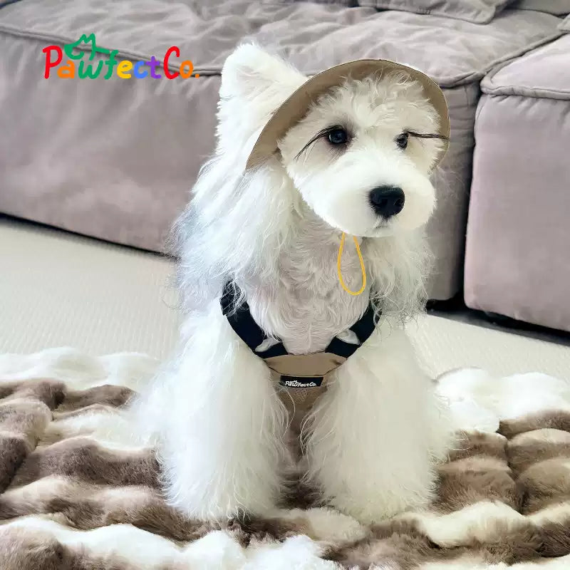 Outdoor Dog Utility Vest