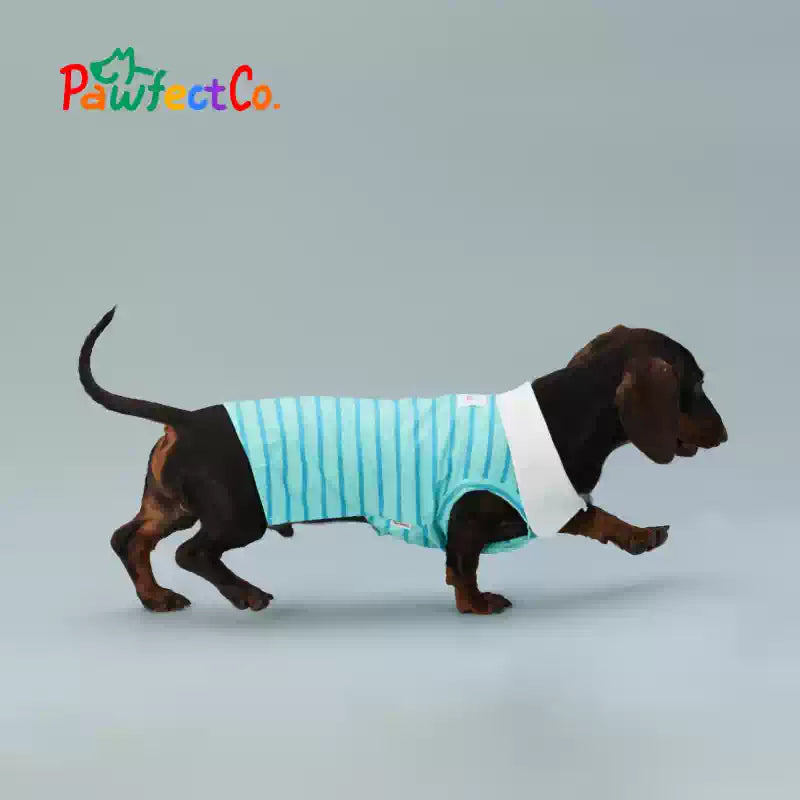 Summer Cooling Dog Sleeveless Vest