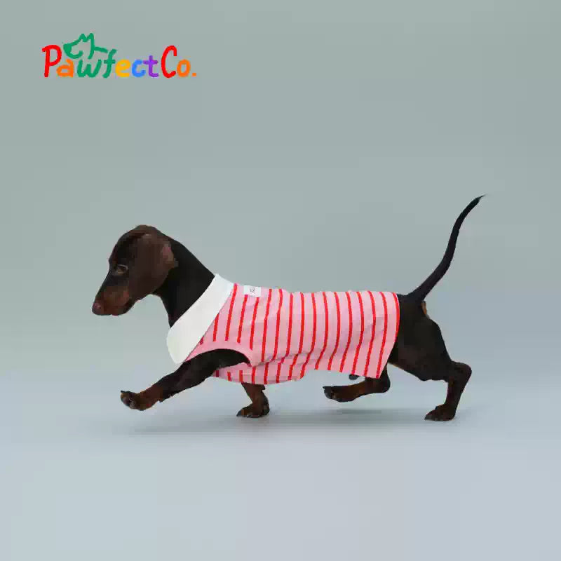Red Striped Sleeveless Summer Dog Vest