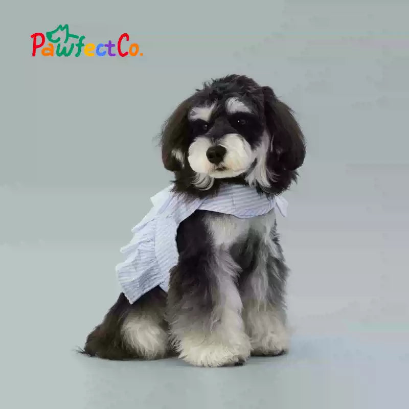 Small Dog Lace Trim Adjustable Velcro Harness Vest