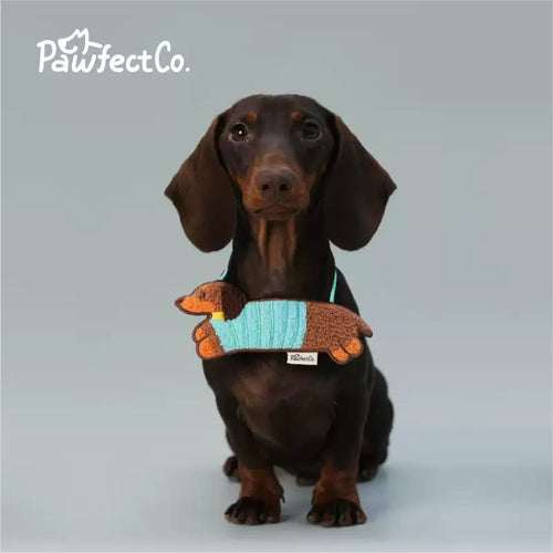 Dachshund Dog Triangle Bandana