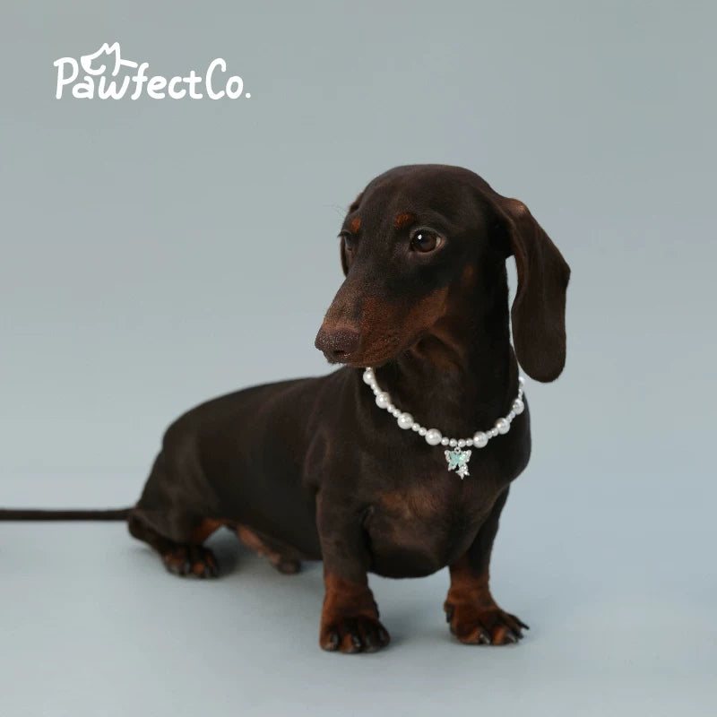 Dog Faux Pearl Necklace Pet Collar