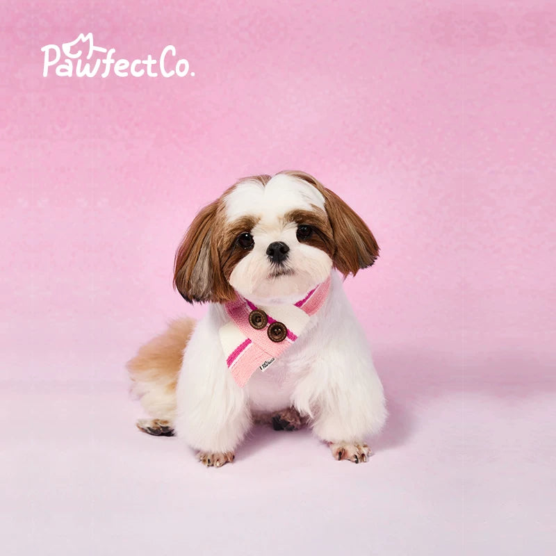 Soft Turtleneck Knitted Sweater for Dogs Autumn Winter Warm Pet Jumper