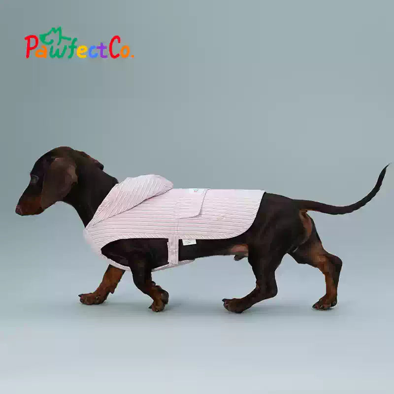 Breathable Hooded Dog Cape