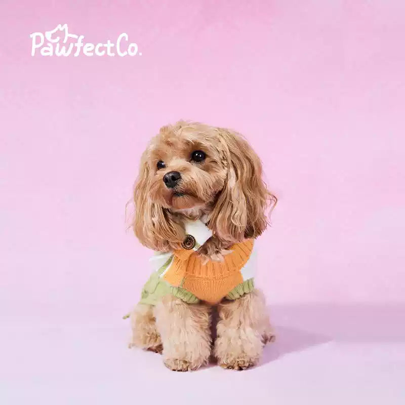Soft Turtleneck Knitted Sweater for Dogs Autumn Winter Warm Pet Jumper