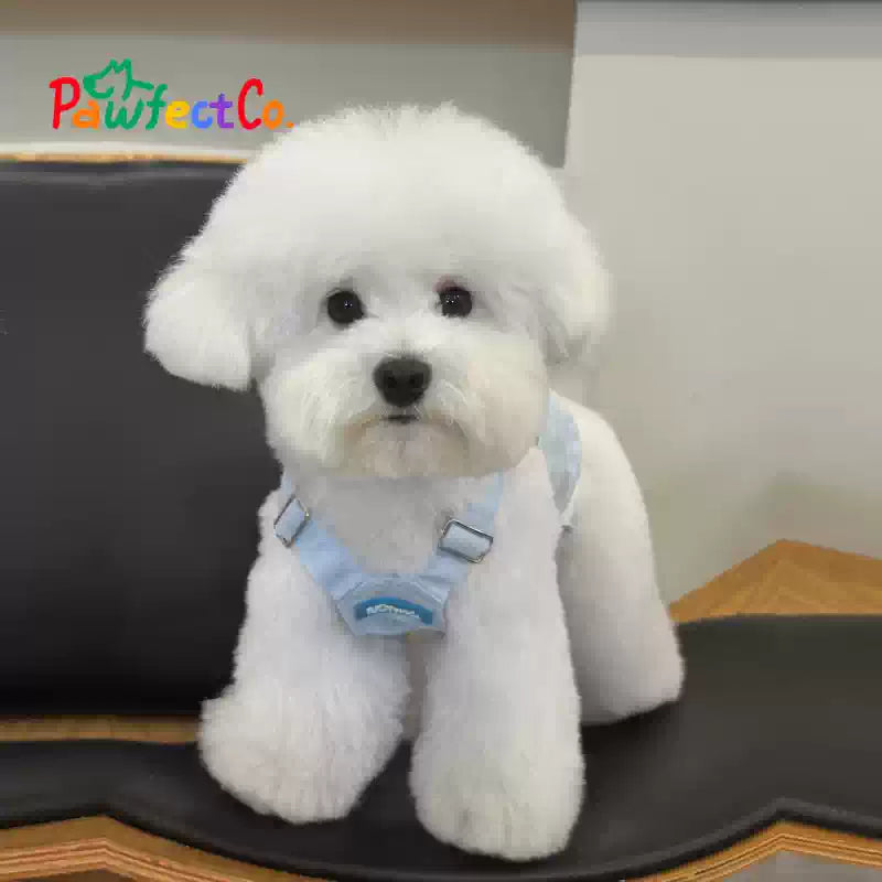 Denim Overalls Vest for Dogs