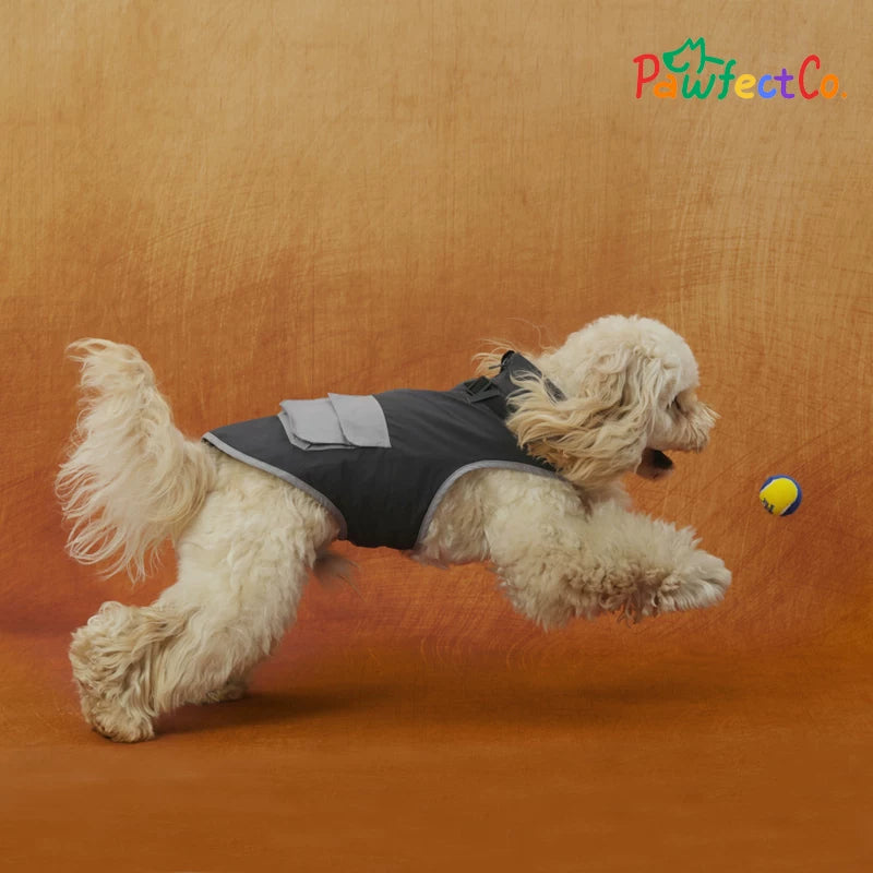 Hooded Workwear Cargo Dog Jacket Spring Autumn Outdoor Coat